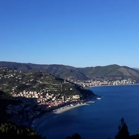 Rosamimama Citra Oo9042-lt-0250 *