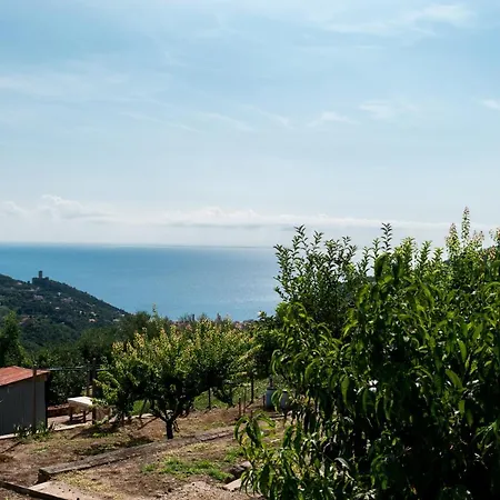 Tatil Evi Rosamimama Citra Oo9042-lt-0250 *