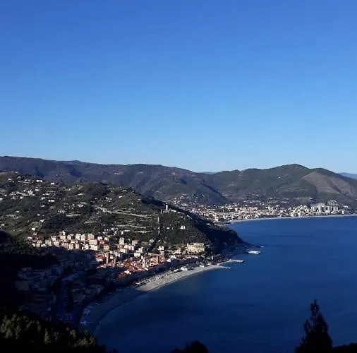 Rosamimama Citra Oo9042-lt-0250 *