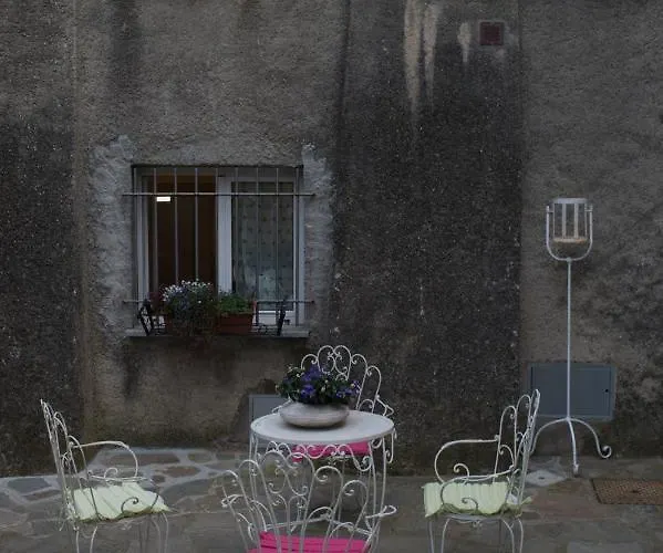 Rosamimama Citra Oo9042-lt-0250 * Voze