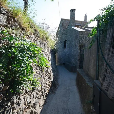 Rosamimama Citra Oo9042-lt-0250 Semesterbostad