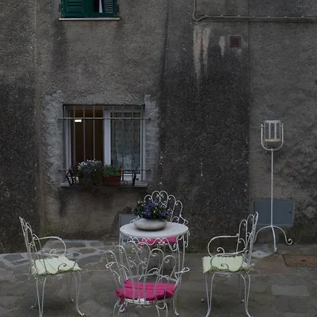 Rosamimama Citra Oo9042-lt-0250 * Voze