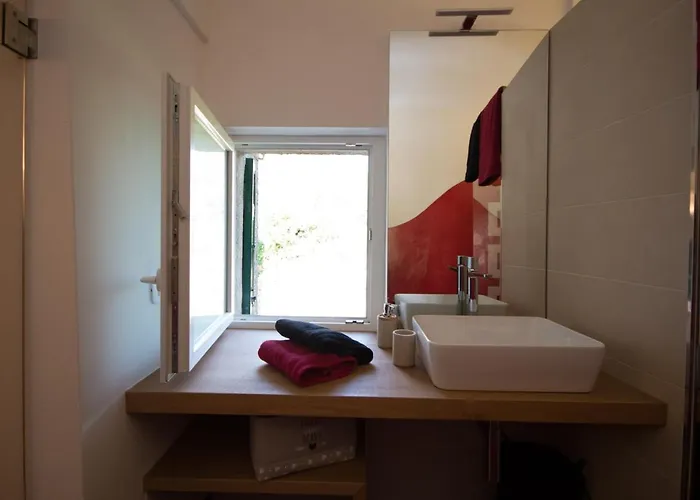 Rosamimama Citra Oo9042-lt-0250 *